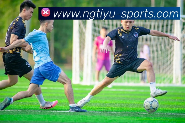 NG体育(NG SPORTS)官方授权体育信息服务中心品牌故事
