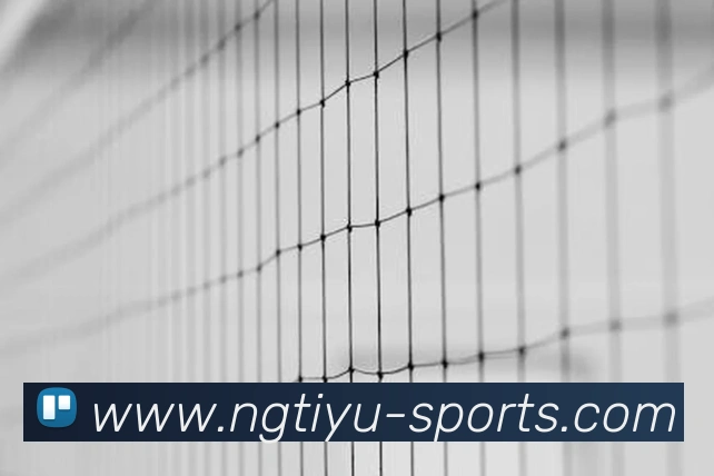 NG体育(NG SPORTS)官方授权体育信息服务中心服务体系